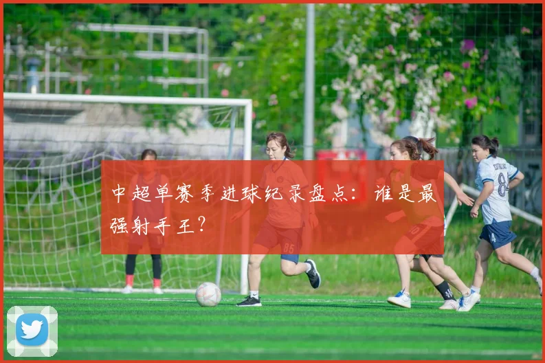 中超单赛季进球纪录盘点：谁是最强射手王？
