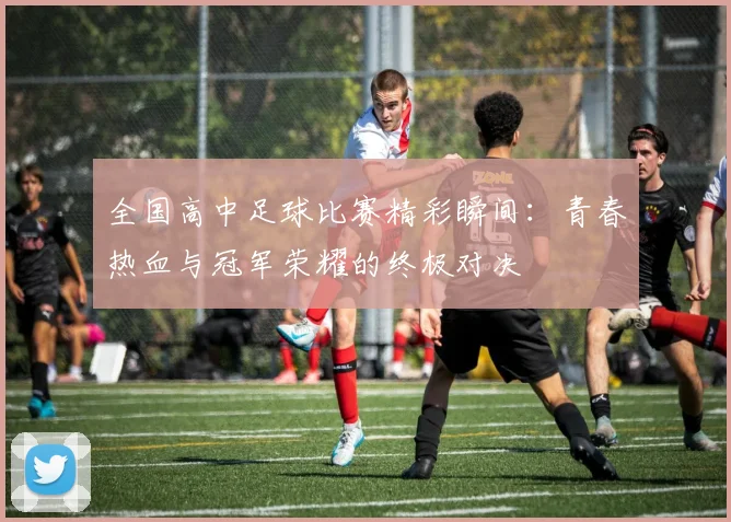 全国高中足球比赛精彩瞬间：青春热血与冠军荣耀的终极对决