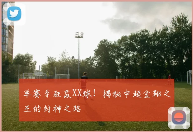 单赛季狂轰XX球!揭秘中超金靴之王的封神之路