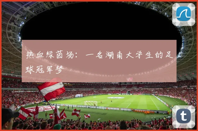 热血绿茵场：一名湖南大学生的足球冠军梦